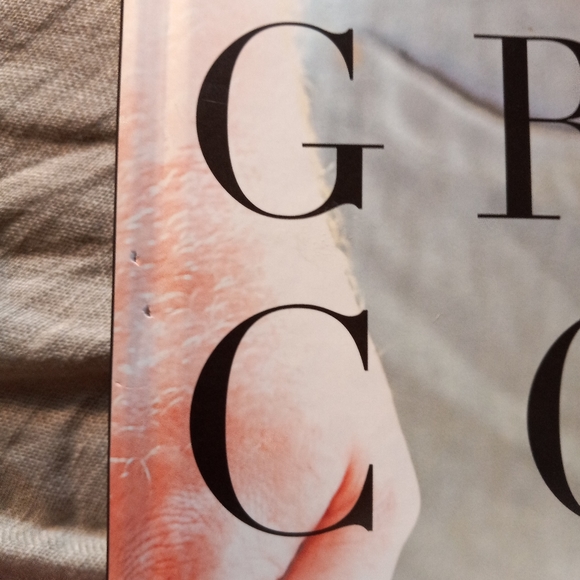 Book  The Great Cook - Picture 16 of 16